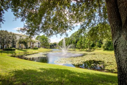 Polynesian Hideaway -  Vacation Rental - Photo 4