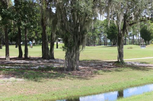 Esprit Palm Villa -  Vacation Rental - Photo 48