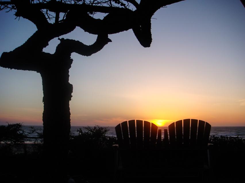 Surf Pines Oceanfront Cottage 3 BD Vacation Rental in Waldport, OR