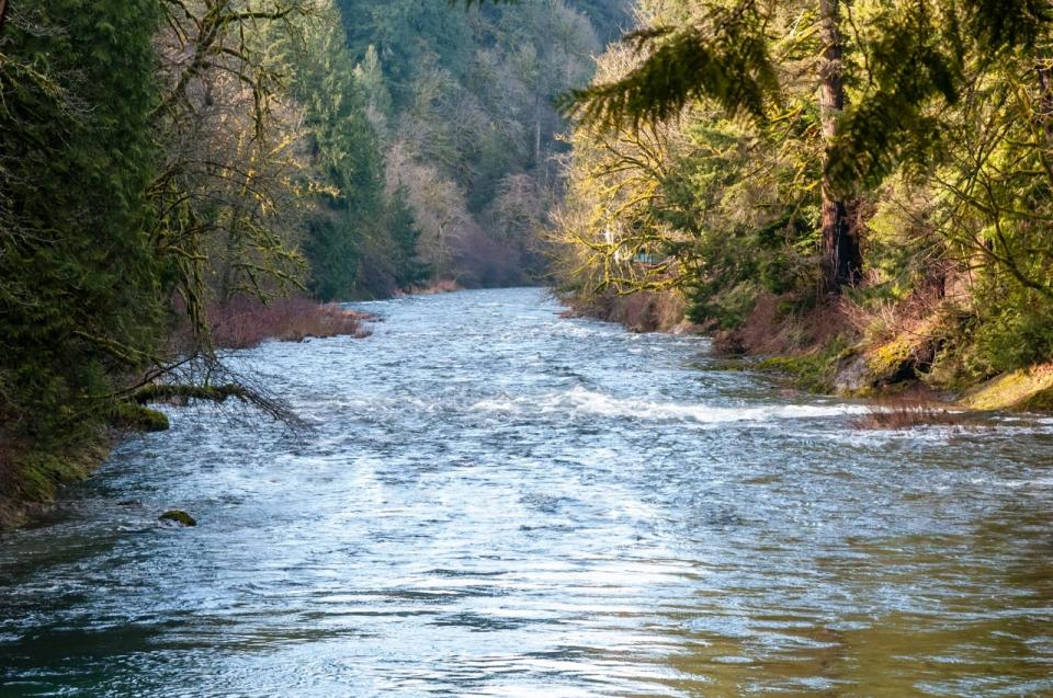 Eva's Cottage Romancing the River 1 BD Vacation Rental in Washougal