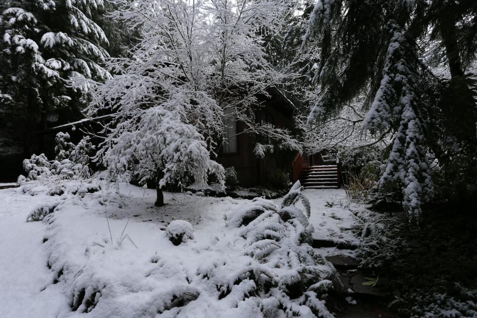 Foxglove Falls 3 BD Vacation Rental in Welches, OR Vacasa