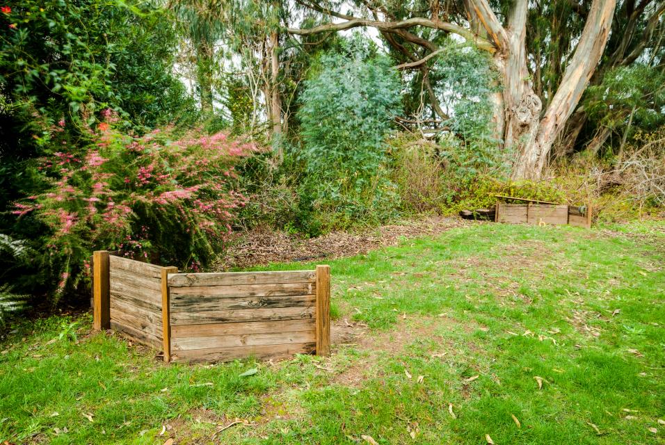 Mendocino Dunes Dune Flower 1 BD Vacation Rental in Fort Bragg, CA