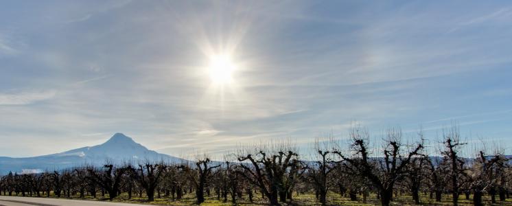 Parkdale/Mt Hood, OR